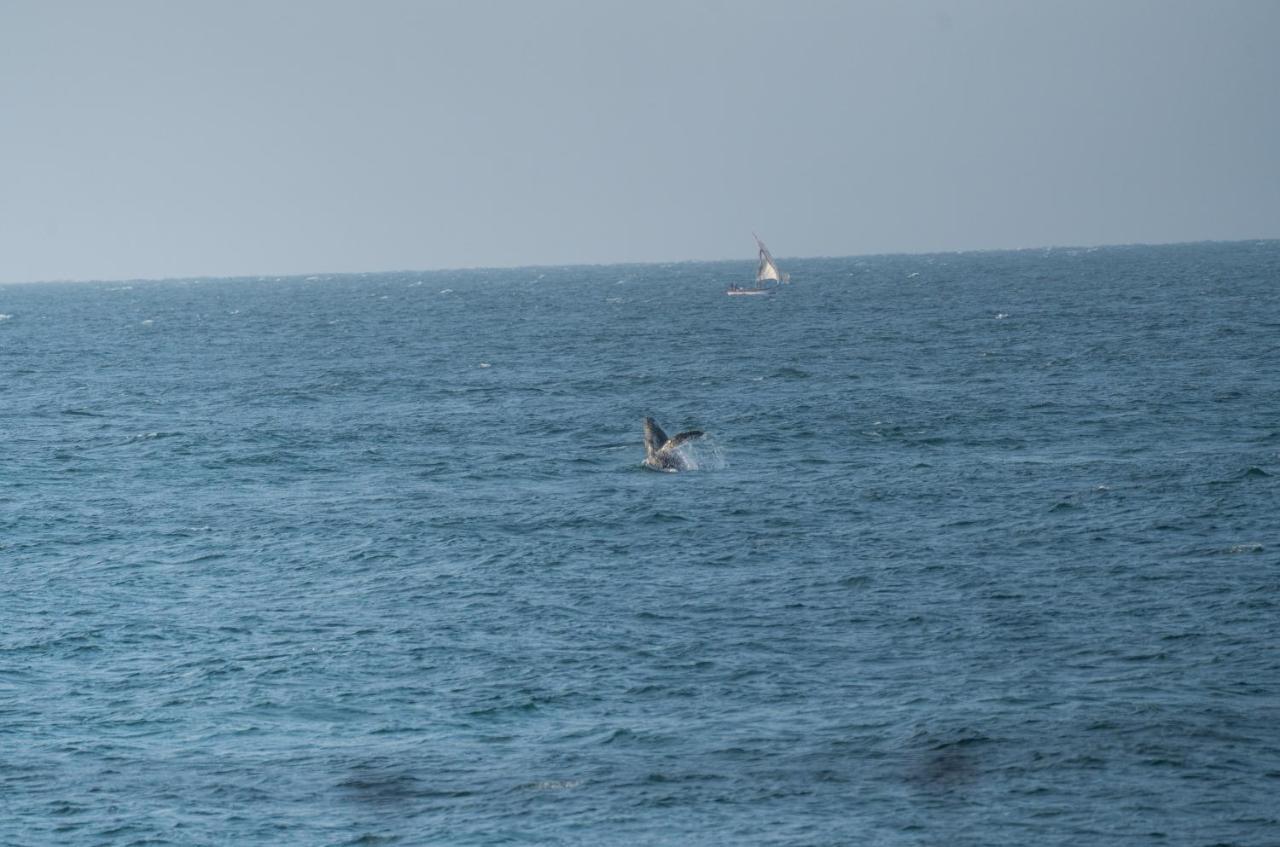 מנקורה Los Corales מראה חיצוני תמונה